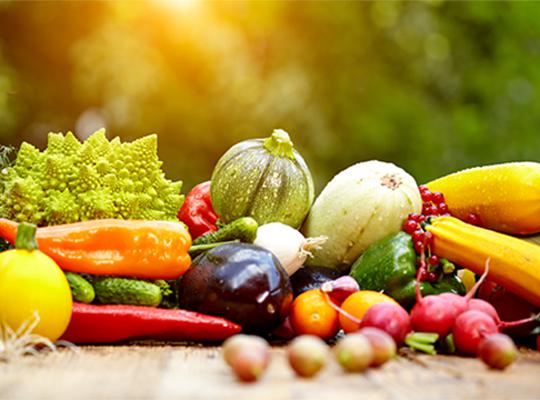 果蔬冷庫(kù)建造